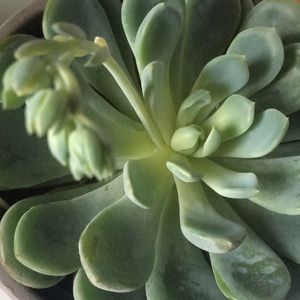 Meet your Posher, Nn